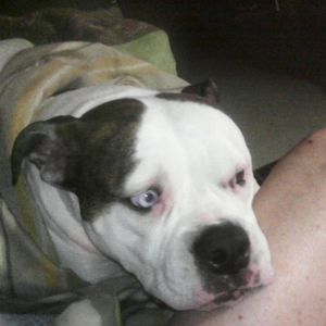 Meet your Posher, James